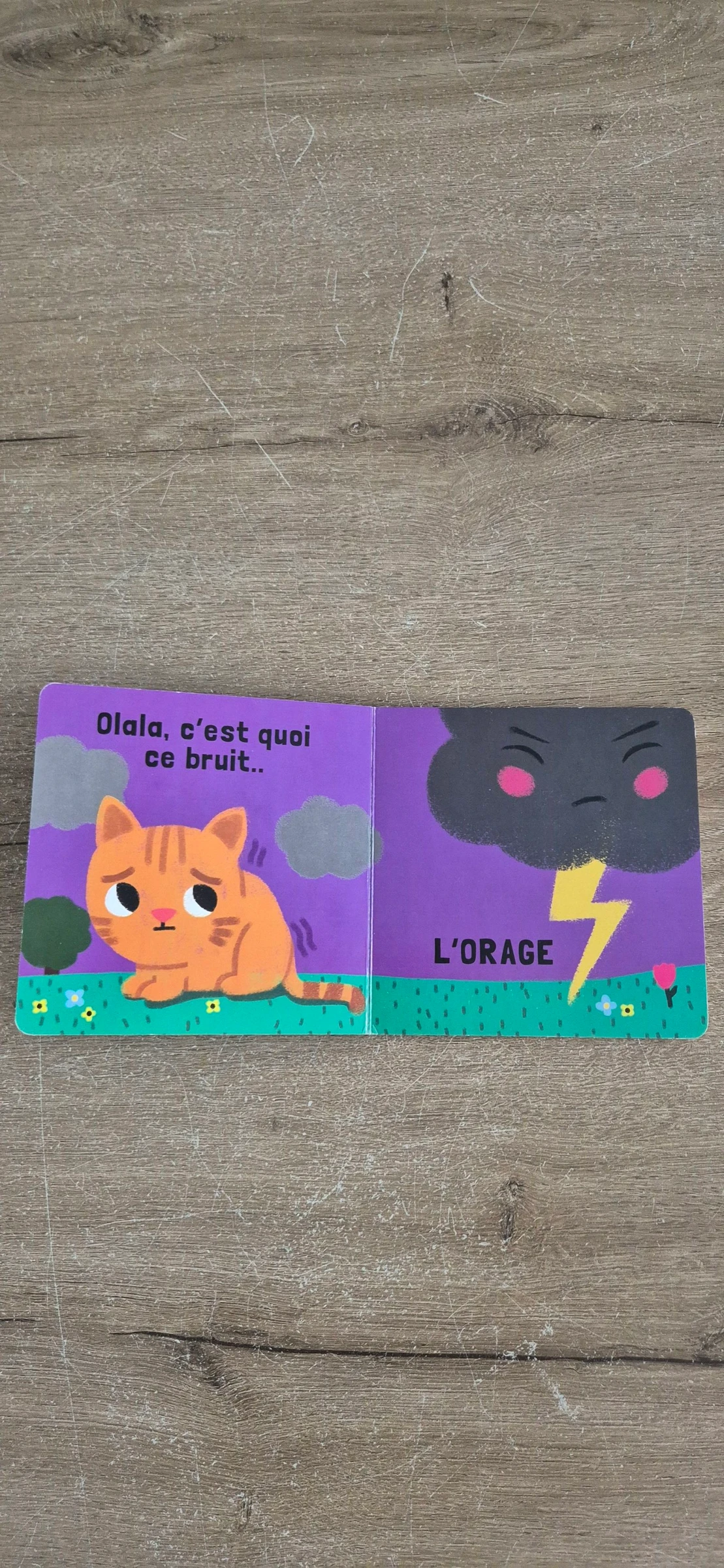 Livre Le temps qu'il fait  – photo 3